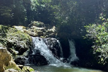 A waterfall dropping through dense forest in the island's mountain interior