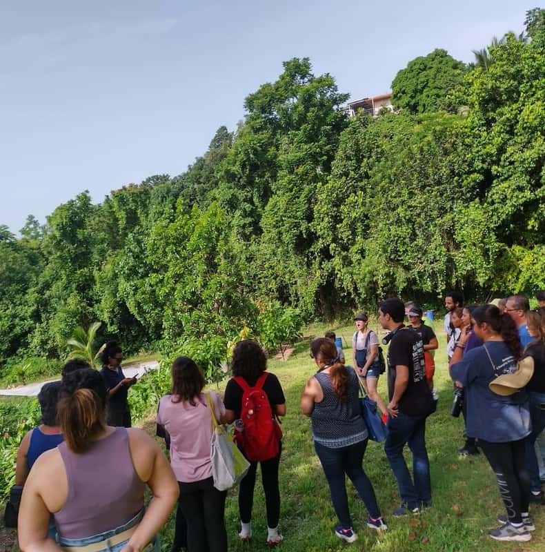 Moca, PR: Cacao Farm Walking Tour and Chocolate Tasting