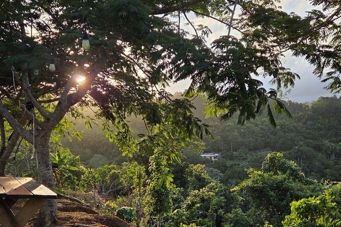 Sun dropping behind the forested hills above a coffee farm