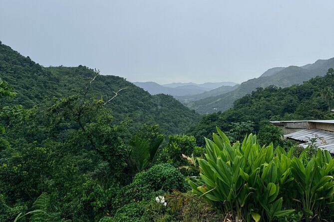 Forested ridges of Puerto Rico's central mountain range seen from a farm clearing